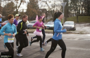 Félmaraton képekben