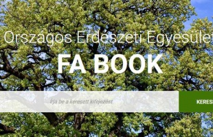 WOW: Fahatározó applikációt fejlesztett az Országos Erdészeti Egyesület