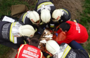 Fának ütközött egy autó Fiadnál