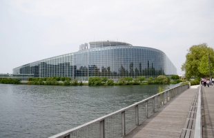 Strasbourgi szomorkás
