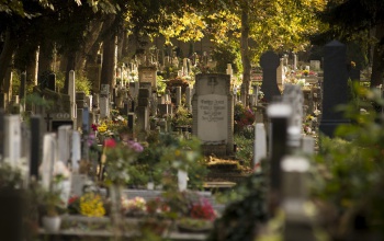 Hosszabbított nyitvatartással várják az emlékezőket a kaposvári temetők
