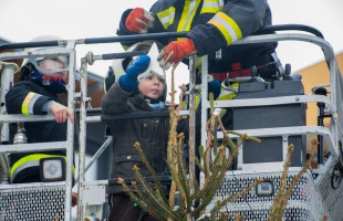Ovisok díszítették fel a tűzoltók karácsonyfáját