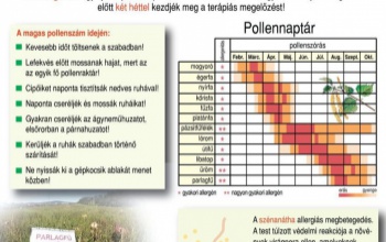 Már virágzik a parlagfű