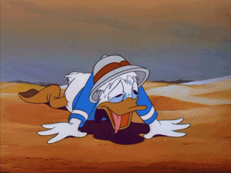 Nem fogják kitalálni, mi jön: KÁNIKULA!!!