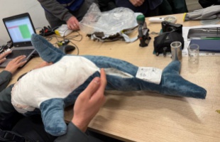 A harmadik országokból érkező, online rendelt termékek 60 százaléka veszélyesnek bizonyult