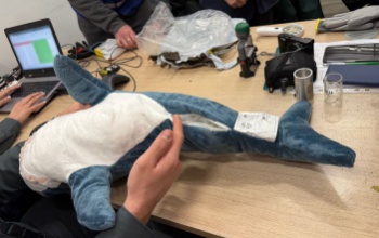 A harmadik országokból érkező, online rendelt termékek 60 százaléka veszélyesnek bizonyult