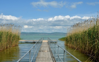 Algásodni kezdett a Balaton