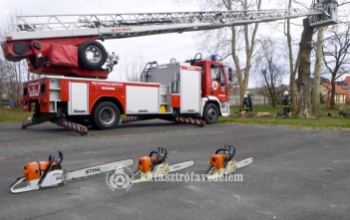 Veszélyesen megdőltek a fák a taranyi iskola udvarán