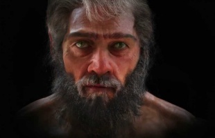 Elképesztő animáció az emberi evolúcióról