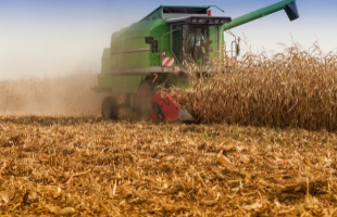 Hétfő óta elérhető az egységes kérelem kitöltési felülete