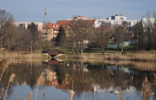 Ébredezik a Városliget, pedig még hűvös van