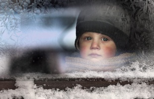 Elena Shumilova csodálatos világa
