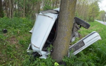 Kiugró szarvas és őzbak miatt történt baleset