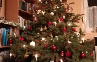 Hegedüs család karácsonyfája