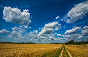 Frissítő hidegfront után újra kánikula