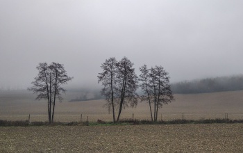 Szürke idő árnyékolja be a következő napokat