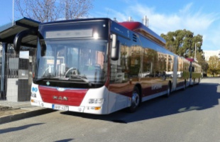 Nicsak, felbukkant két MAN busz Kaposváron!