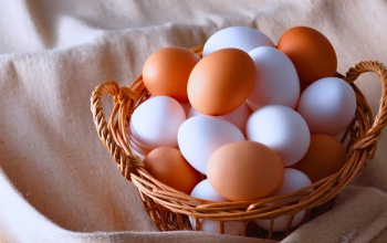 Hogyan tároljuk a tojást? – Hasznos tanácsok a Nébih-től