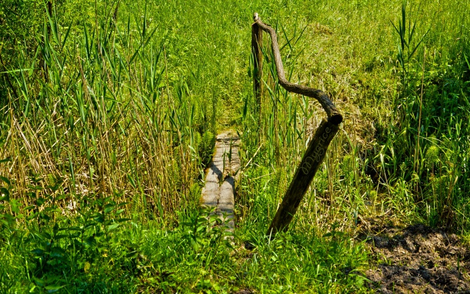Korlátaink