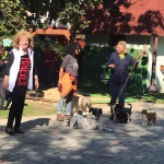 Búzavirág Tagóvoda