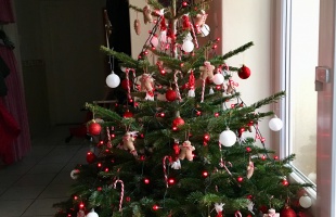 Öt unoka karácsonyfája