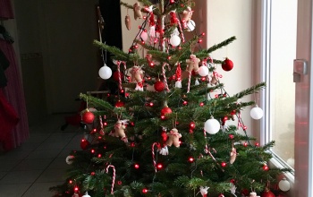 Öt unoka karácsonyfája