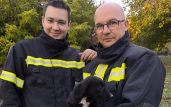 Sűrű hétvégéjük volt a tűzoltóknak