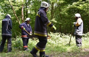 Somogy erdeit kellett megóvni ma a tűzoltóinknak