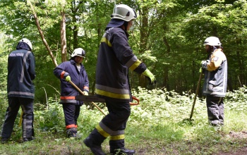 Somogy erdeit kellett megóvni ma a tűzoltóinknak