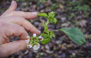 Több mint százéves tendencia a melegedés és a kevesebb hó