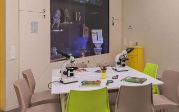 Még közelebb a természethez - Apró dolgok, amik az életet működtetik