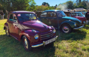 Felsorakoztak a veterán autók a Cseri parkban
