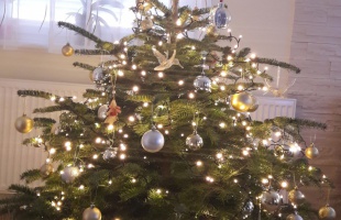 Reni és Peti első közös karácsonyfája