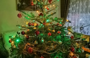 Murai család karácsonyfája