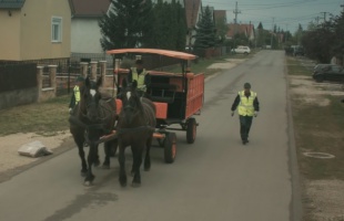 Ilyet még nem látott: lovaskocsival gyűjtik a szelektív szemetet