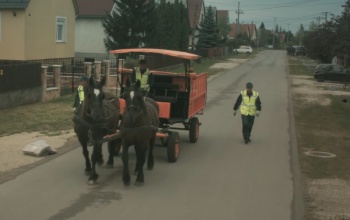 Ilyet még nem látott: lovaskocsival gyűjtik a szelektív szemetet