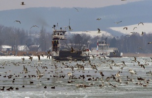 A hétvégére már 15-17 °C is lehet!
