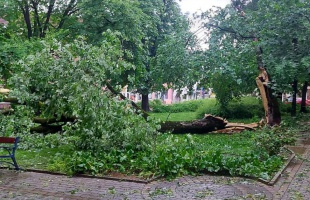 Már zajlik a városban a kárfelmérés, azonnal intézkedett a városvezetés