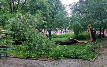 Már zajlik a városban a kárfelmérés, azonnal intézkedett a városvezetés