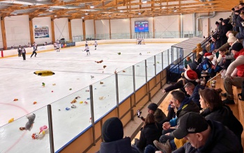 Jótékonysági plüsseső kísérte a Dunaújvárosi Acélbikák győzelmét a jégcsarnokban