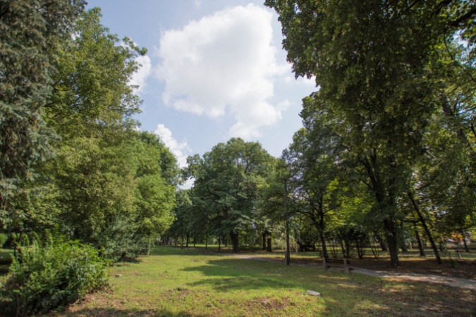 Jókai ligetünk születése