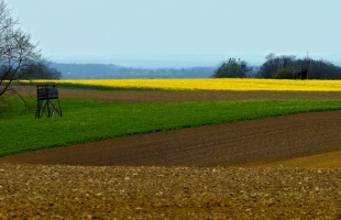 A végtelen