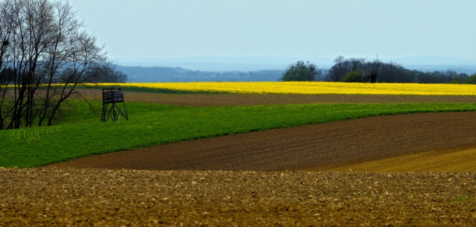 A végtelen