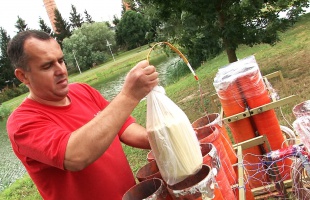 Ilyen lesz a kaposvári tűzijáték