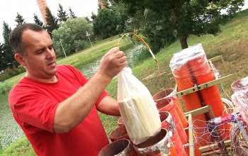Ilyen lesz a kaposvári tűzijáték