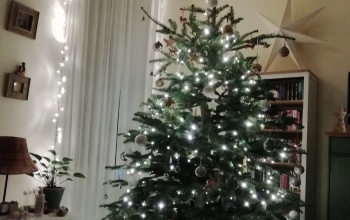 Juhász család karácsonyfája