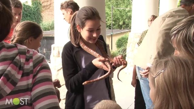 Megpuszilhatták a békát
