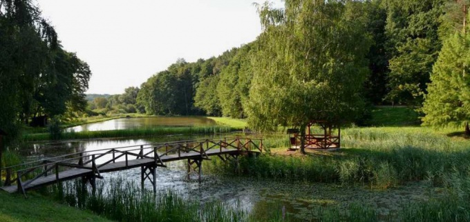 Megújult a Tókaji-parkerdő