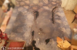 Szándékosan okozott tüzet saját házában egy ittas férfi