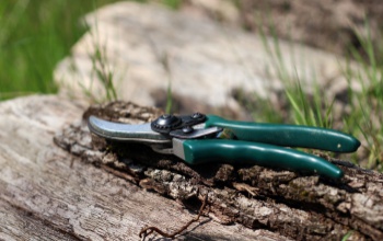 Hasznos tippek metszőolló kereséshez